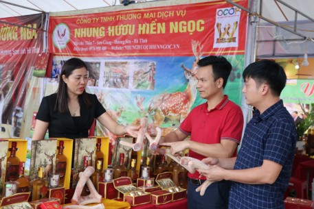 Hội chợ thương mại sản phẩm OCOP, sản phẩm công nghiệp nông thôn tiêu biểu, sản phẩm chủ lực Hà Tĩnh năm 2024