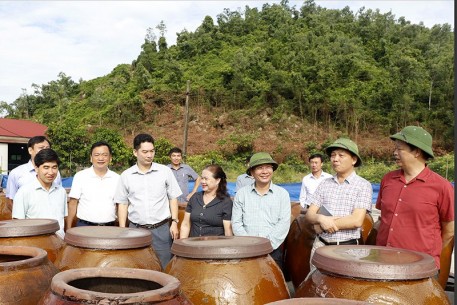 Văn Phòng điều phối nông thôn mới Trung ương khảo sát kết quả xây dựng nông thôn mới tại huyện Kỳ Anh