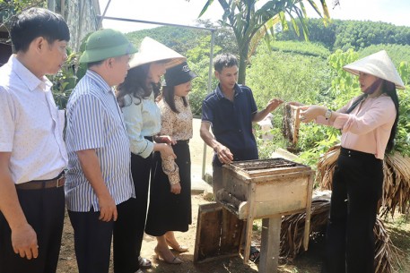 Ngọt ngào mật ong Vũ Quang