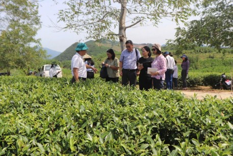 Đoàn Ngân hàng Phát triển Châu Á khảo sát, tư vấn hỗ trợ kỷ thuật về phát triển du lịch bền vững huyện Hương Sơn