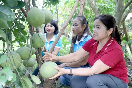 Trần Thị Lệ Thủy - Thủ lĩnh phụ nữ hết lòng vì công việc chung