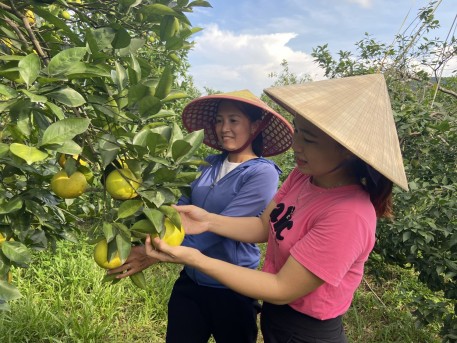 Nông sản Hà Tĩnh sẵn sàng khai hội