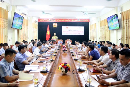 Phối hợp nhân rộng mô hình  nông nghiệp hữu cơ tại Hương Sơn