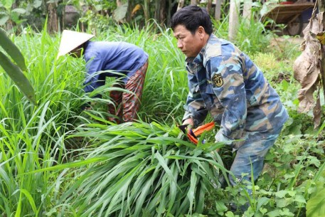 Cựu chiến binh xung kích trên mặt trận phát triển kinh tế, xây dựng NTM