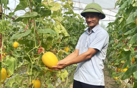 Mát mắt ngắm trang trại sum suê “quả ngọt” giữa lòng thành phố Hà Tĩnh
