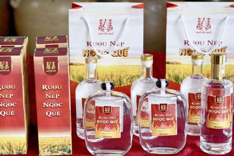 Rượu nếp Ngọc Quế – Giữ nghề truyền thống, nâng tầm OCOP