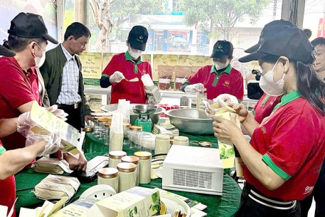 Lê Thị Thủy - Hình mẫu phụ nữ nông thôn thời đại mới từ hạt ngũ cốc quê nhà