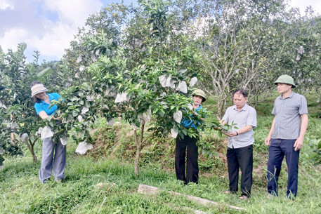 Phụ nữ Thượng Đức tích cực xây dựng các mô hình phát triển kinh tế