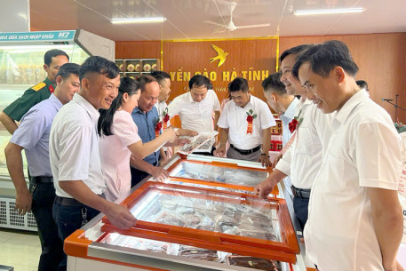 OCOP Hà Tĩnh – nâng tầm sản phẩm, mở rộng thị trường tiêu thụ