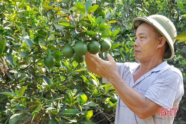 Chuyện những cán bộ thôn “sống là cho đâu chỉ nhận riêng mình…”