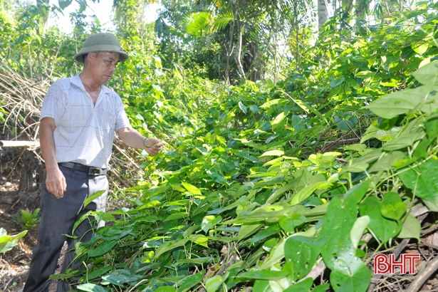 Chuyện những cán bộ thôn “sống là cho đâu chỉ nhận riêng mình…”