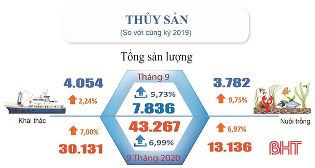 Kinh tế Thủy sản Hà Tĩnh phát triển khá, tổng sản lượng 9 tháng đạt 43.267 tấn