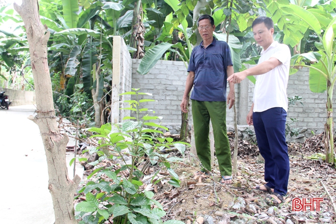 “Đặc sản” trám đen ở miền núi Hà Tĩnh, làm ra bao nhiêu, hết bấy nhiêu