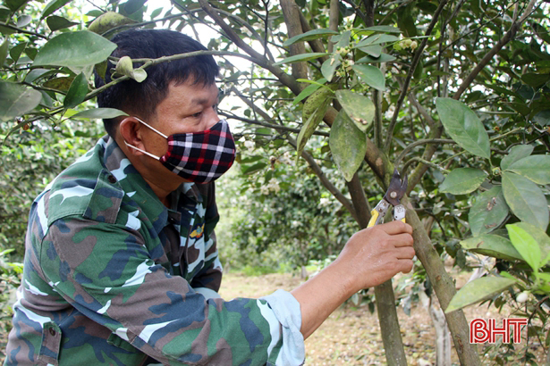 Làm giàu trên vùng “ốc đảo” của huyện miền núi Vũ Quang